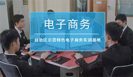  电子商务专业